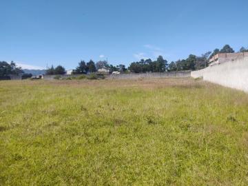 VENTA DE TERRENO DE 6,250 M2, ZACATLÁN, PUEBLA