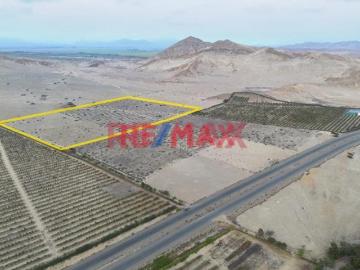 Venta De Terreno De 6.4 Hectáreas En La Hormiguita