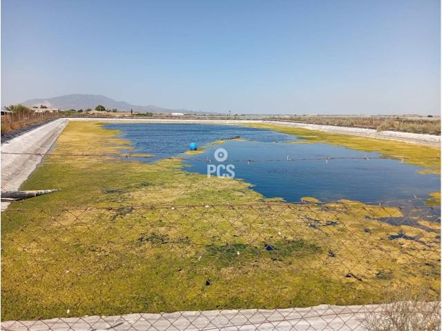 Venta de terreno de 98,600 m² en Totana