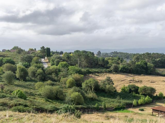 Venta de terreno el Campon