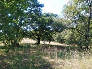VENTA DE TERRENO EN MACAVACA, CHAPA DE MOTA