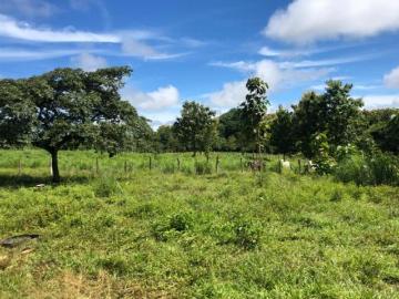 Venta de Terreno en Montijo Veraguas