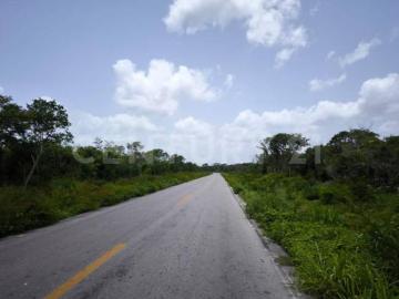 VENTA DE TERRENO EN MOTUTL, YUCATÁN