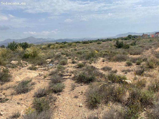 VENTA DE TERRENO EN NOVELDA ALICANTE