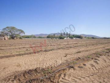 VENTA DE TERRENO EN ARMERIA, COLIMA