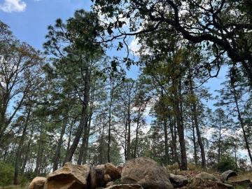 VENTA DE TERRENO EN BOSKANIA ATEMAJAC DE BRIZUELA TAPALPA