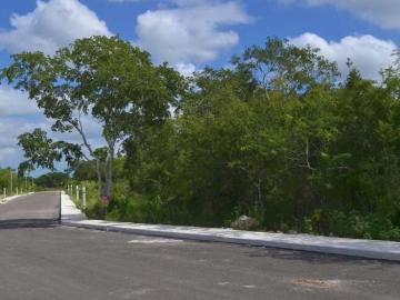 Venta de Terreno en Bosques de la Hacienda Mérida Yucatán Conkal