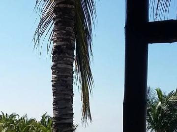 Venta de Terreno en Caleta Grau, Zorritos, Tumbes