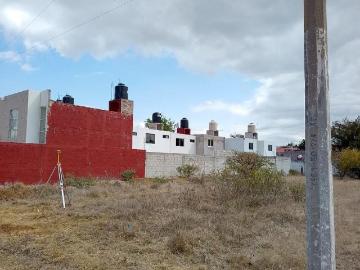 VENTA DE TERRENO EN CALLE RUBI, SANTIAGO TULANTEPEC