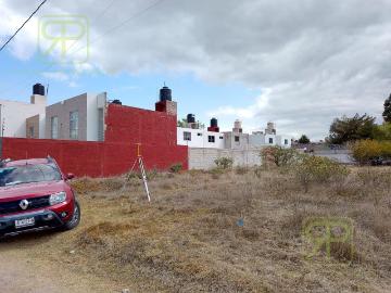 VENTA DE TERRENO EN CALLE RUBI, SANTIAGO TULANTEPEC