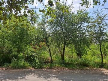 Venta de Terreno en Campestre Los Encinos, Chihuahua, Cadereyta Nuevo León