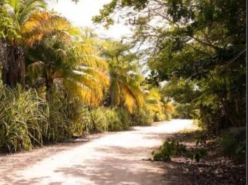 Venta de terreno en Carretera Motul de 425.86 m2