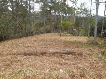 Venta de Terreno en Cerro Azul