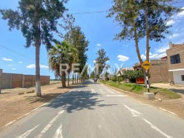 Venta De Terreno En Cerro Alegre En Cañete