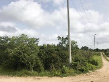Venta de Terreno en Cholul M?rida Yucat?n
