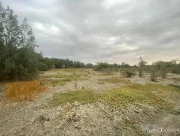 VENTA DE TERRENO EN CIENEGUILLO SUR