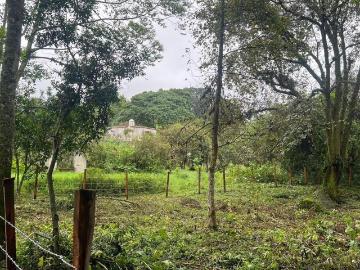 Venta de Terreno en Coatepec, Veracruz. Frente al r?o Pixquiac