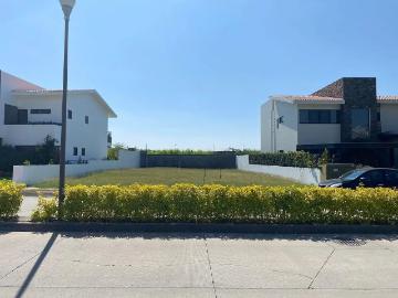 VENTA DE TERRENO, EN COL. PALO ESCRITO, FRACC. PARAÍSO COUNTRY CLUB, CUERNAVACA