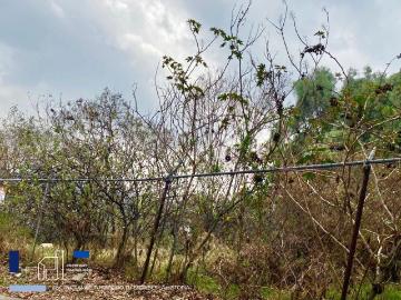 Venta de terreno en colonia parques de la herradura