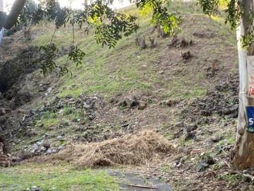 VENTA DE TERRENO EN COLINAS DEL BOSQUE EN TLALPAN