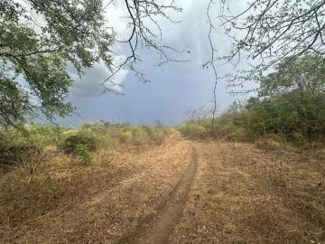 VENTA DE TERRENO EN DZEMUL