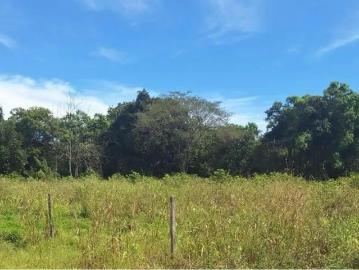 Venta de Terreno en David, Chiriquí