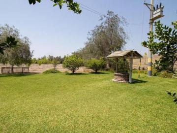 Venta de Terreno en El Carmen, Chincha – 65,000 m²