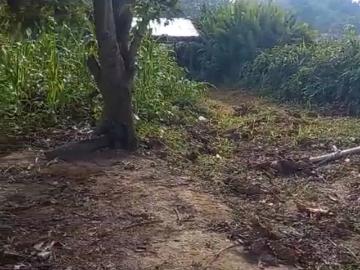 VENTA DE TERRENO EN FUNDO