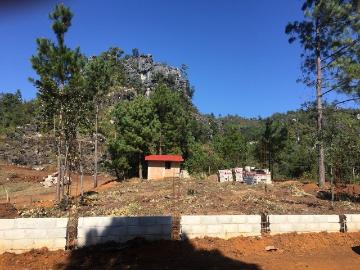 Venta de terreno en fracc. Alamos