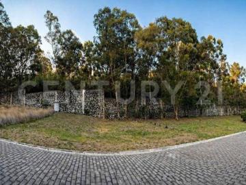 Venta de terreno en Fraccionamiento Tepoya, Zerezotla