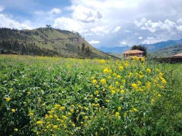 Venta de Terreno en Huaypo Area 1,800m2 Totalmente plano