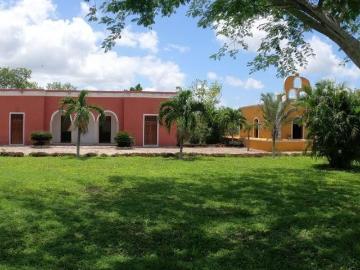 Venta de Terreno en Hacienda San Diego Petzbalam Motul Yucatán