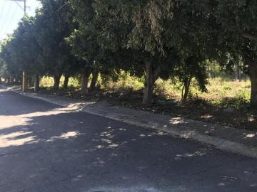 Venta de terreno en La Alfonsina Atlixco Puebla
