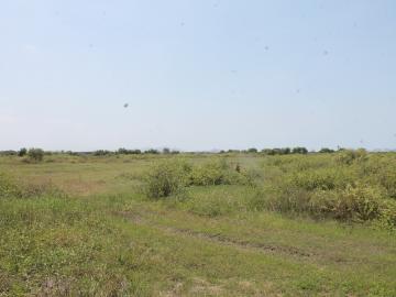 Venta de Terreno en Lagunas, Chiclayo | Bolsa Inmobiliaria Perú