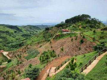 Venta de Terreno en Las Minas de Herrera, 15 hectáreas