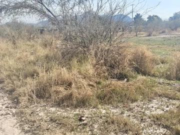 Venta de Terreno en León Guzmán