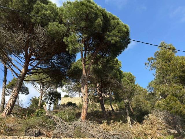 Venta de terreno en Lloret de Mar