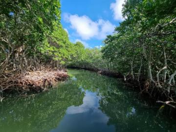 Venta de terreno en Punta Allen, Tulum