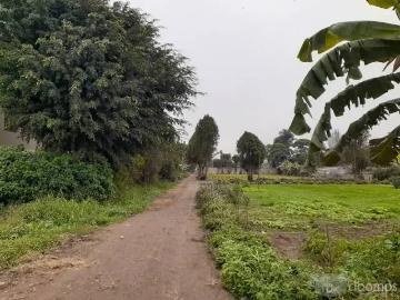 Venta de terreno en Pachacamac