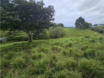 Venta de terreno en Pedasí, a minutos de Playa Venao