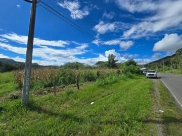 Venta de Terreno en Penonomé, La pintada
