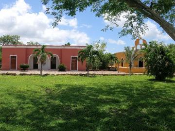 Venta de Terreno en San Diego Petzbalam Motul Yucat?n