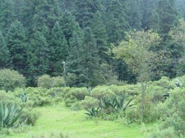 Terrenos Campiranos en Venta | Cañada de Alférez, Estado de México