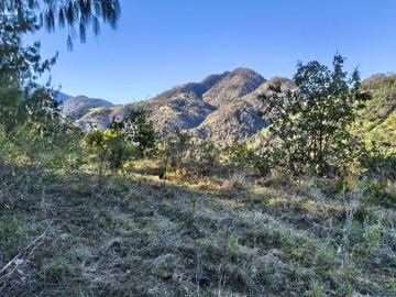 VENTA DE TERRENO EN SAN MIGUEL, ZACATLÁN
