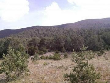 Venta de terreno en Santa Anita Galeana, N.L
