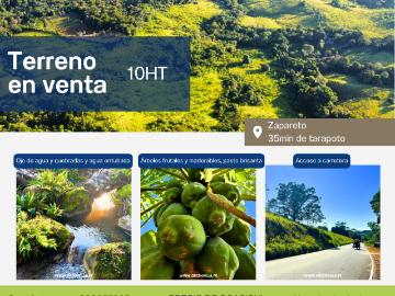 Venta de Terreno en Tarapoto, San Martín | Bolsa Inmobiliaria Perú