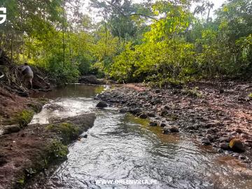 Venta de Terreno en Tarapoto, San Martín | Bolsa Inmobiliaria Perú