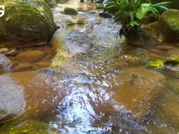 Venta de Terreno en Tarapoto, San Martín | Bolsa Inmobiliaria Perú