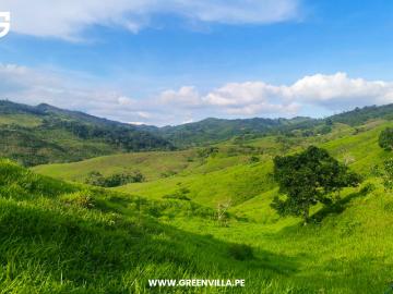 Venta de Terreno en Tarapoto, San Martín | Bolsa Inmobiliaria Perú