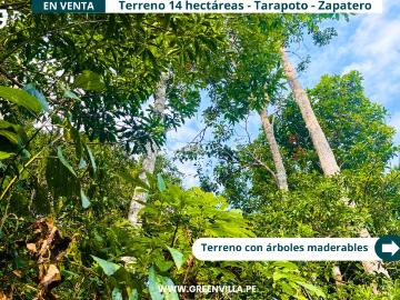 Venta de Terreno en Tarapoto, San Martín | Bolsa Inmobiliaria Perú